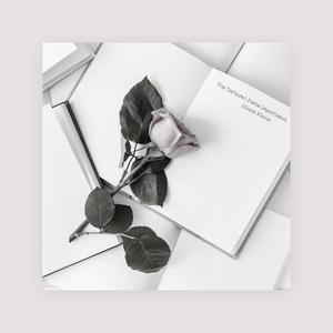 我和岳性一晚上4次
