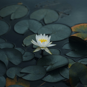 我和岳性一晚上4次
